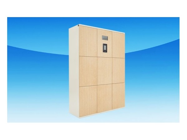 電子寄存柜利用新興科學(xué)技術(shù)達(dá)到用戶物品存放的目的